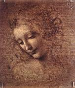 The Virgin and Child with St Anne (detail)  f, LEONARDO da Vinci